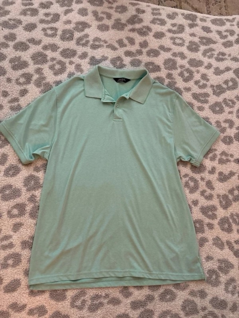 Men's Mint Green Polo Shirt